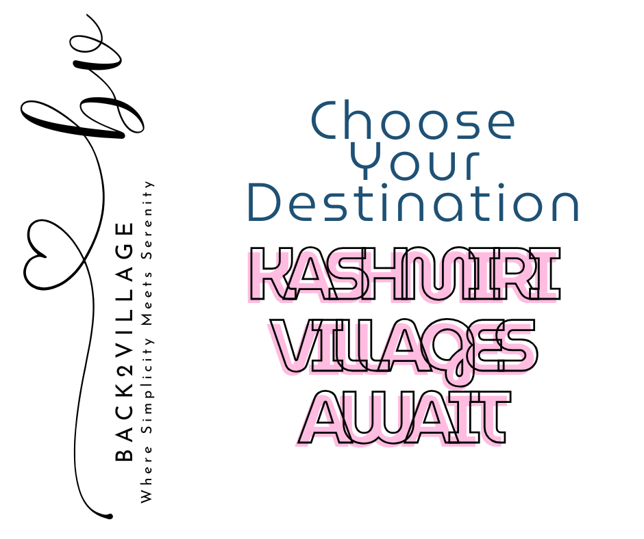 Choose Your Destination Kashmiri Villages Await