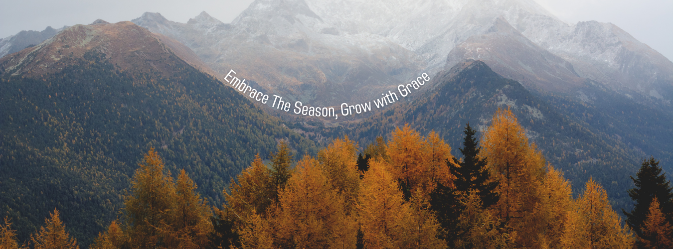 Embrace the season, grow with grace-back2village