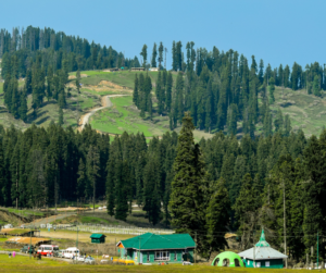 Doodhpathri: The Untamed Beauty That Calls Your Soul – Adventure Awaits!