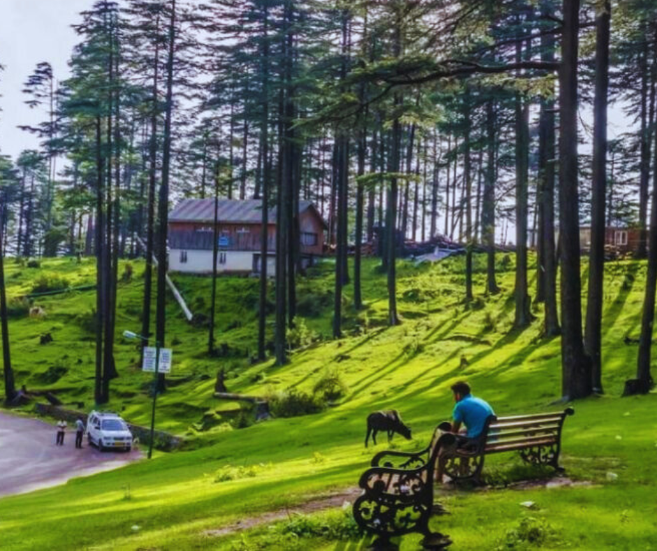 Top 10 Things to Do in Patnitop: Your Complete Travel Guide