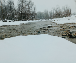 Discover the 10 Most Breathtaking Snowfall Destinations in India That Will Leave You Awestruck This Winter