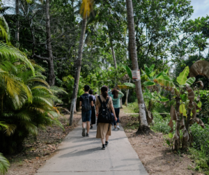 Empowering the Eco-Conscious Traveler: Urgent Steps to Explore the World Without Harming It