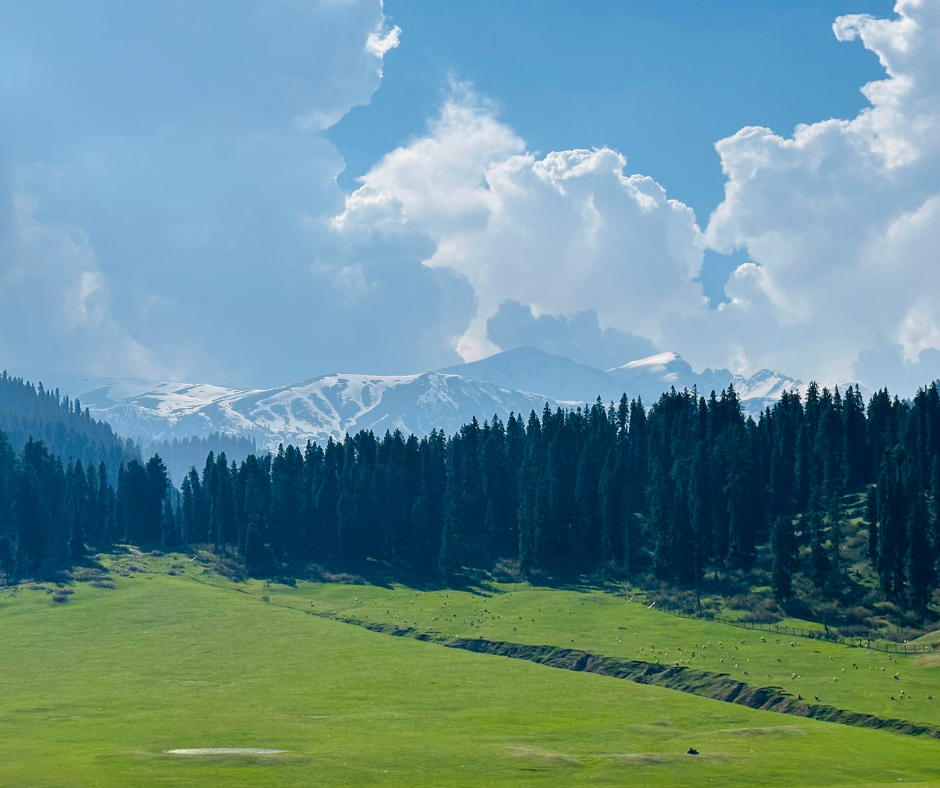 Kashmir Heritage Walks – Discover the Hidden Soul of the Valley