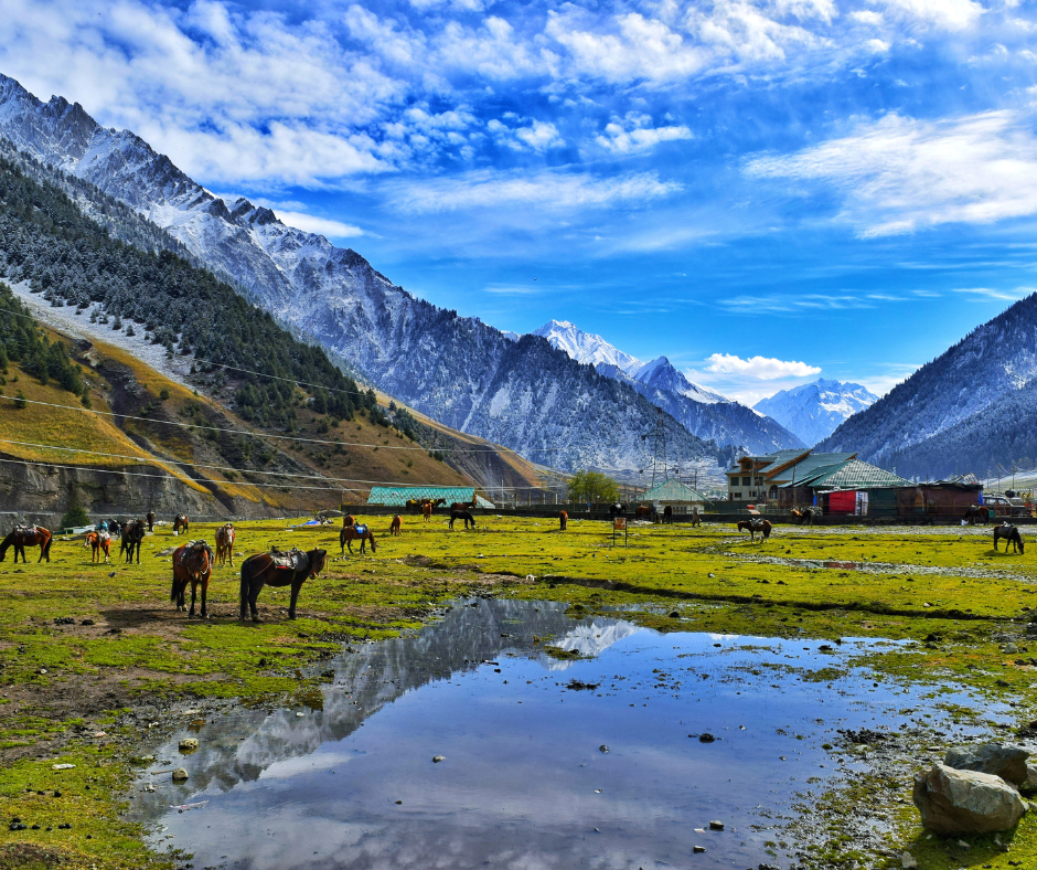 Horse Riding in Pahalgam – The Untold Scenic Adventure That Changes How You See Kashmir