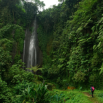 Travel with intention: why asking “why” turns journeys into healing, growth, and real freedom